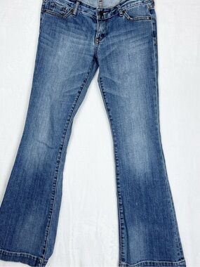 Express Stella Flare Jeans 6R Fit & Flare